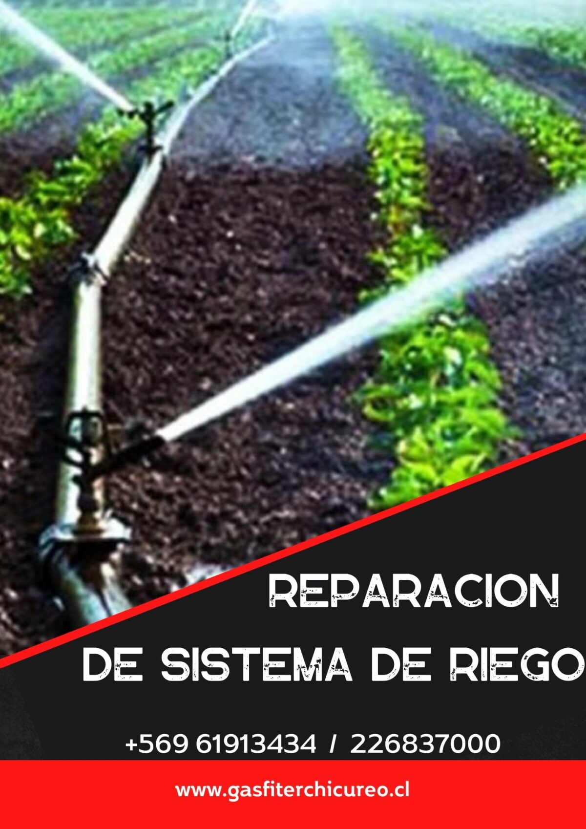 flyer gasfiterchicureo.cl