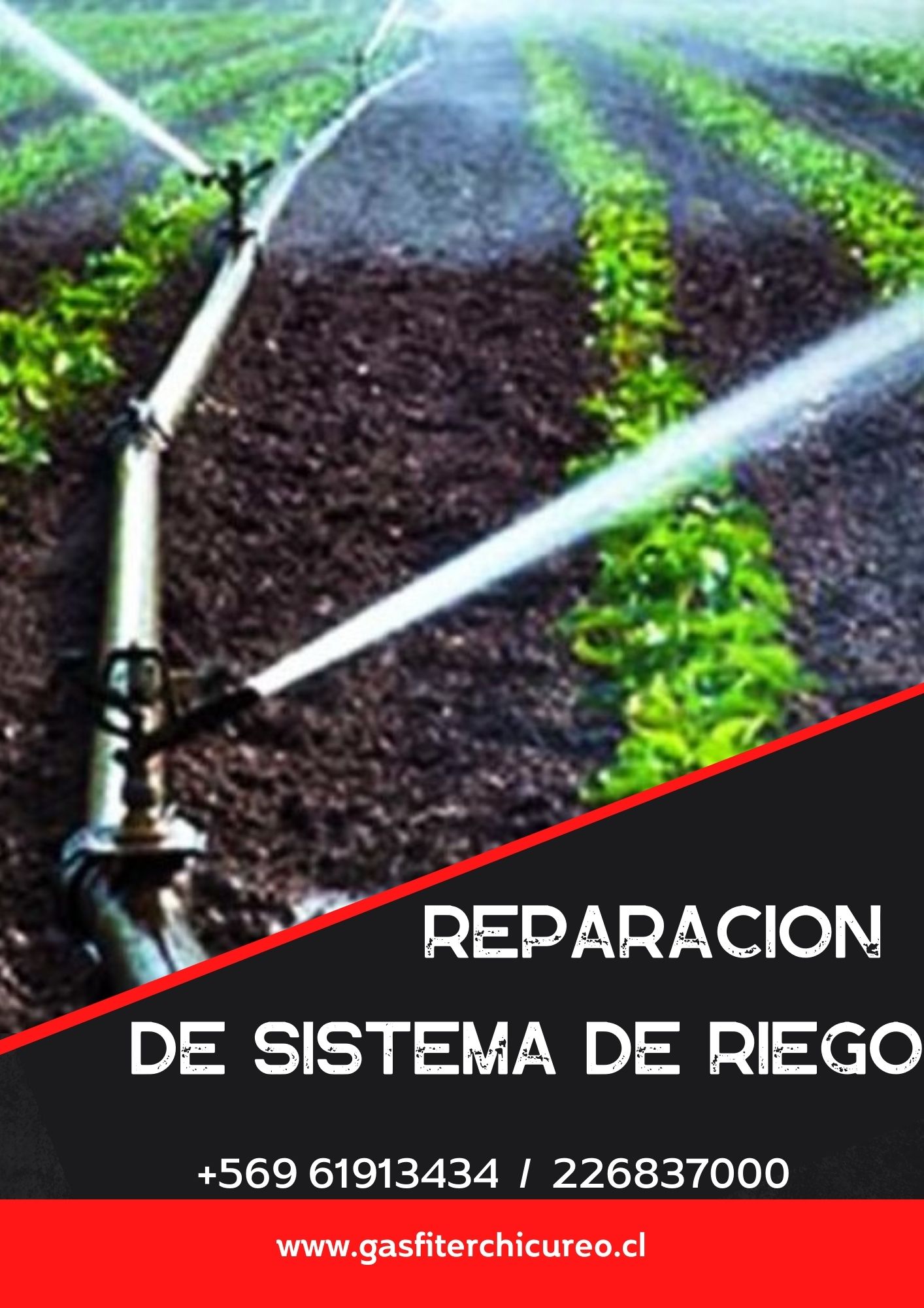 flyer gasfiterchicureo.cl