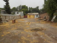 DSCN8073